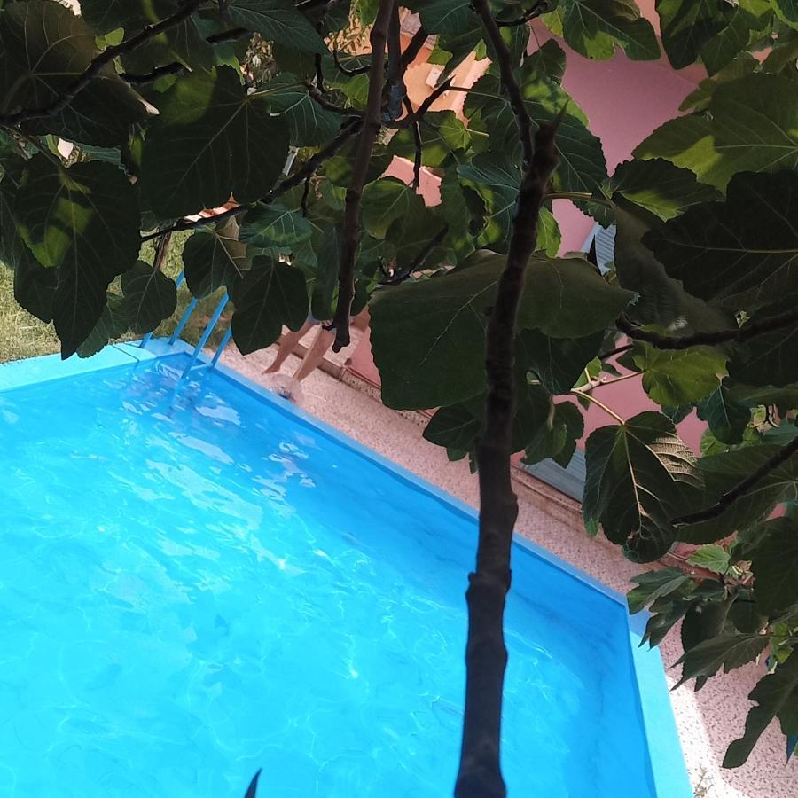Villa Oasispalmares à Errachidia Extérieur photo